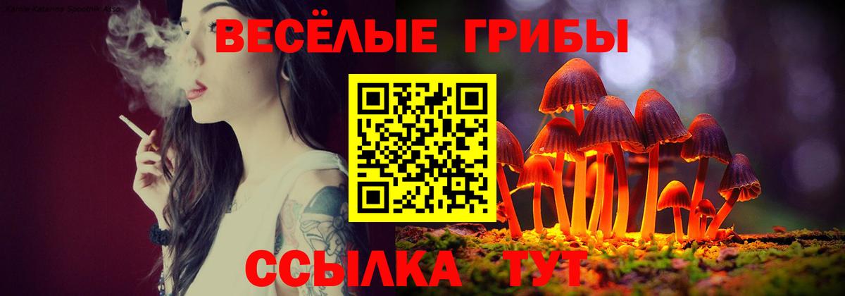Черняховск  Псилоцибиновые грибы GOLDEN TEACHER  Псилоцибиновые грибы прущие грибы  Вход с VPN 